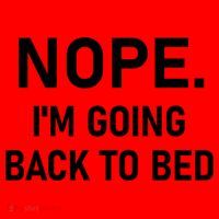 Nope I'm Going Back To Bed Funny Jokes Sarcastic Great Gift Santa Hat thumb 1