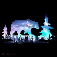 Night Sky Wilderness Bear Bucket Hat thumb 4