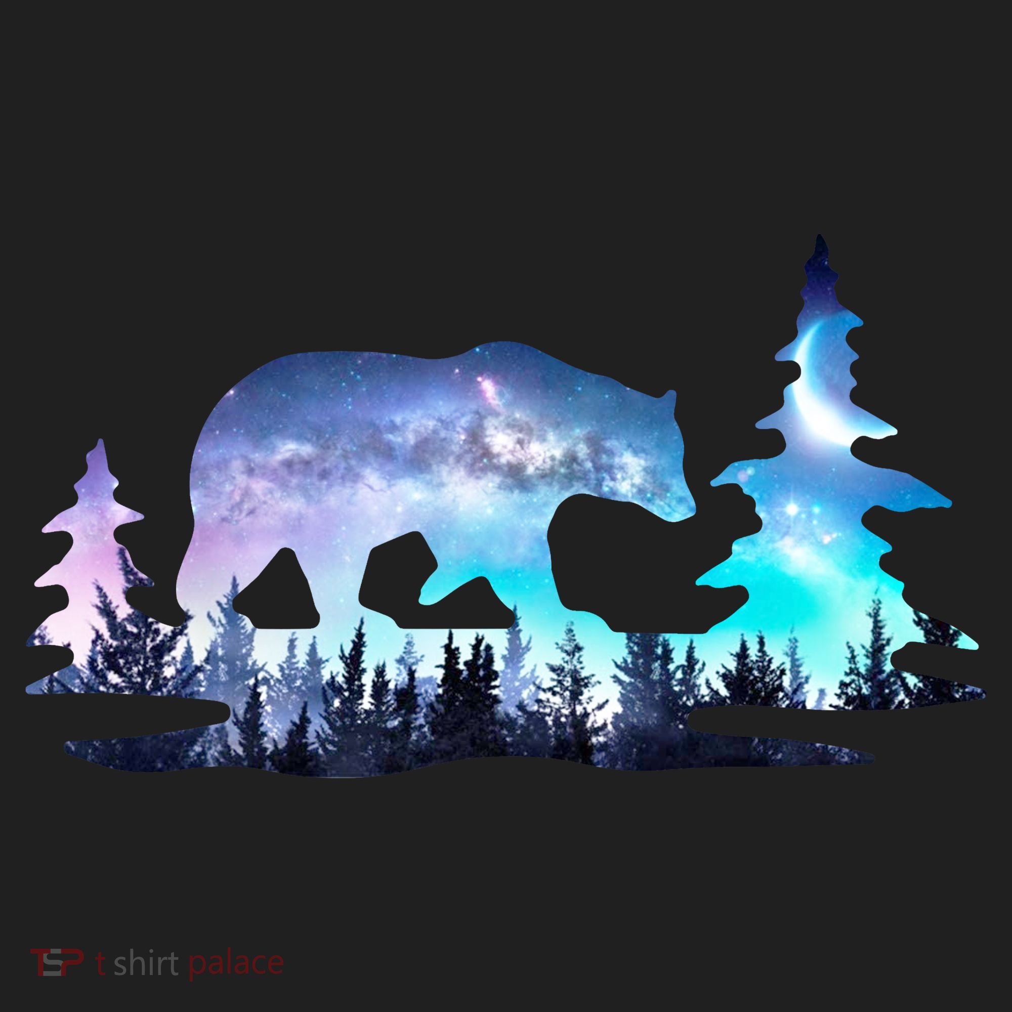 Night Sky Wilderness Bear Beanie