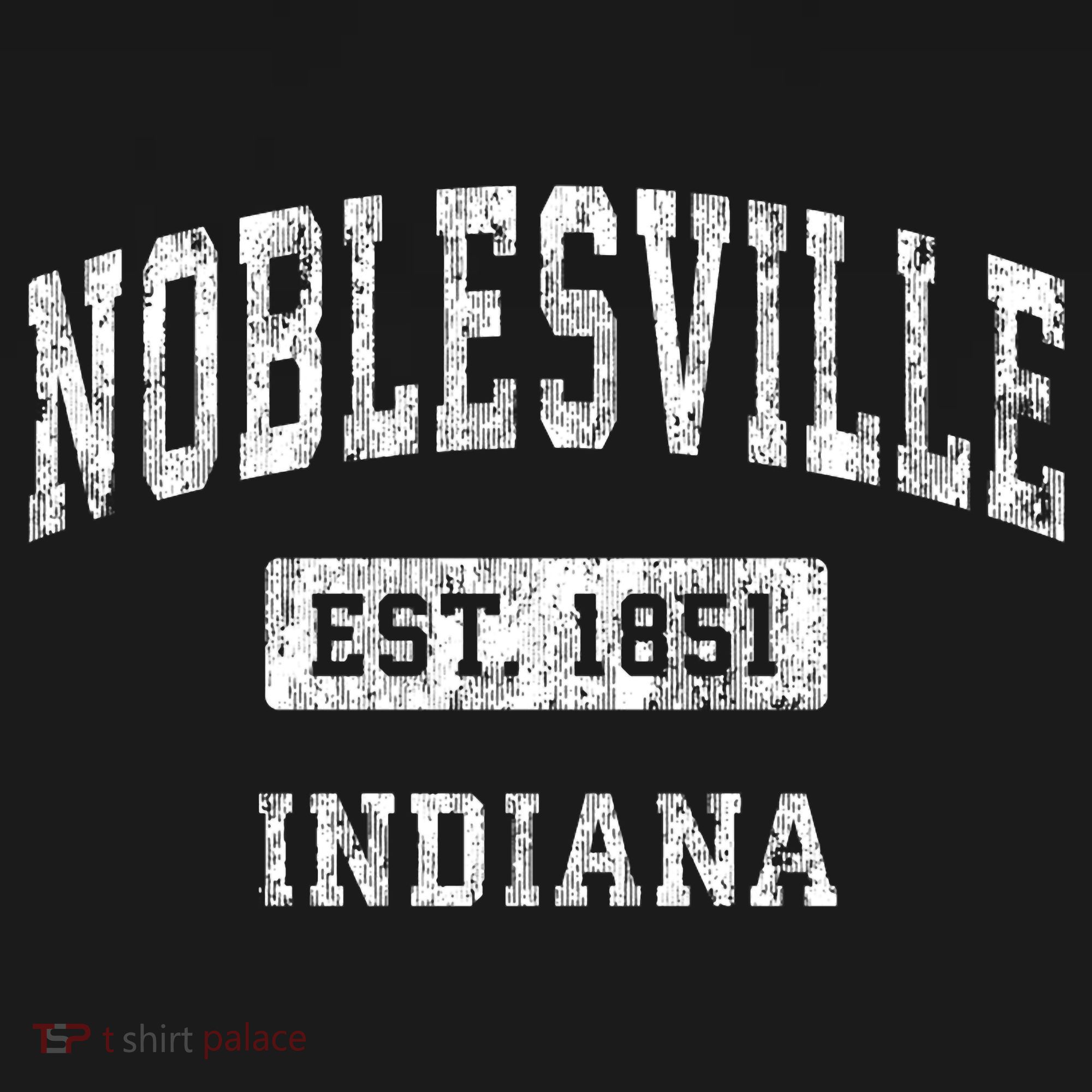 Noblesville Indiana In Vintage Established Sports T-Shirt