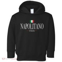 Napolitano Italia Italian Flag Toddler Hoodie thumb 0