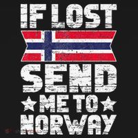 Norwegian If Lost Send Me To Norway  Women's Hoodie thumb 2