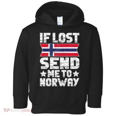 Norwegian If Lost Send Me To Norway  Toddler Hoodie