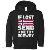 Norwegian If Lost Send Me To Norway  Toddler Hoodie thumb 0