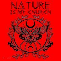 Nature Is My Church Moon Moth Witchcraft Wiccan Witch Santa Hat thumb 1