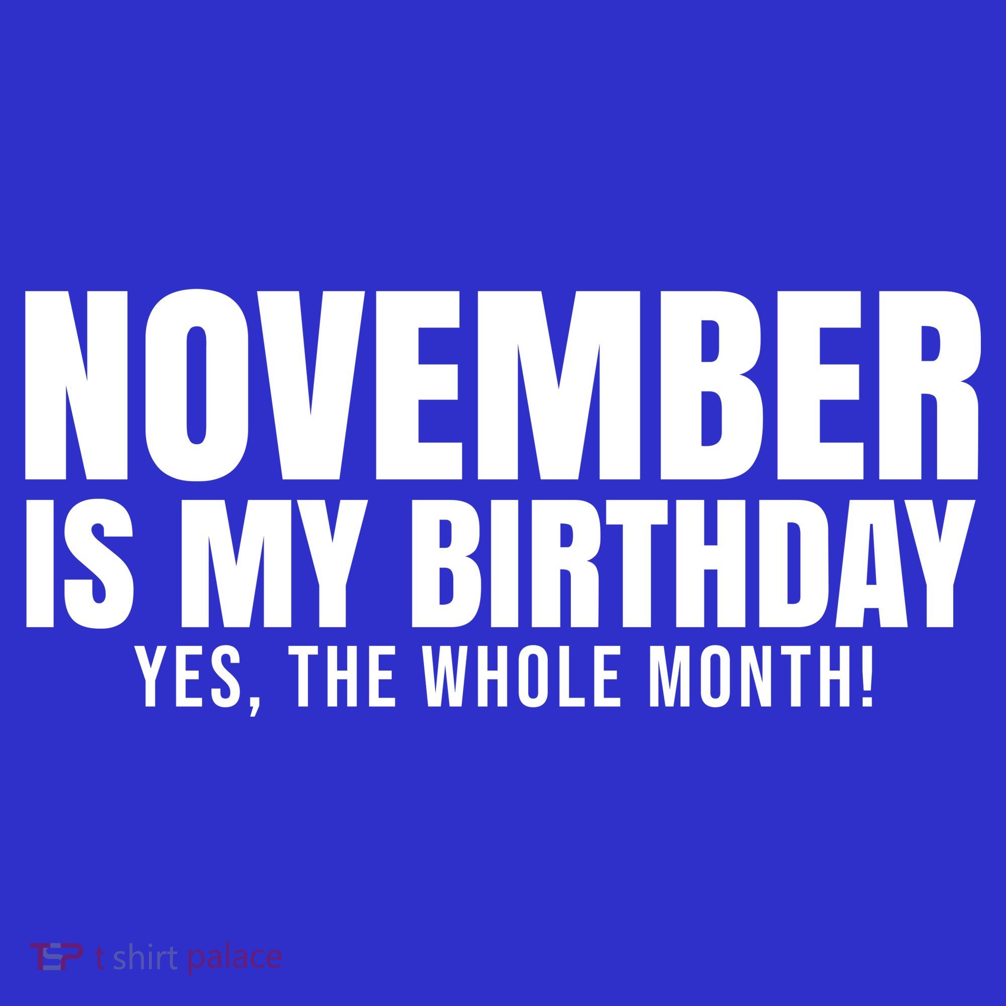 November Is My Birthday Yes The Whole Month Apron