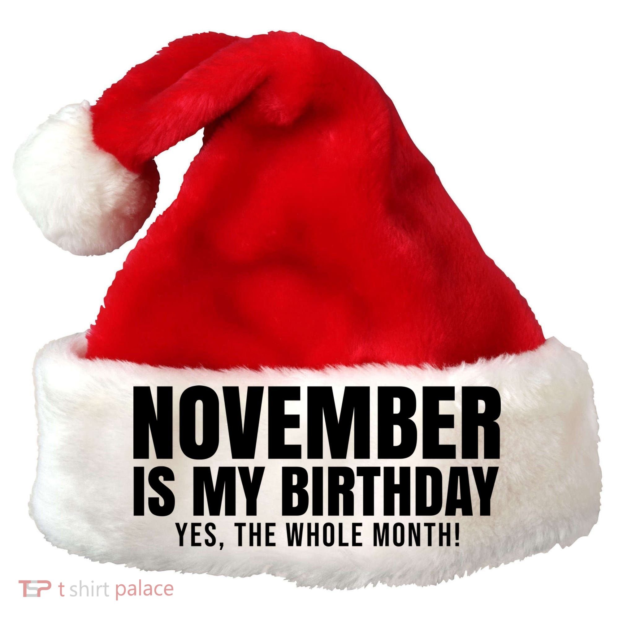 November Is My Birthday Yes The Whole Month Santa Hat