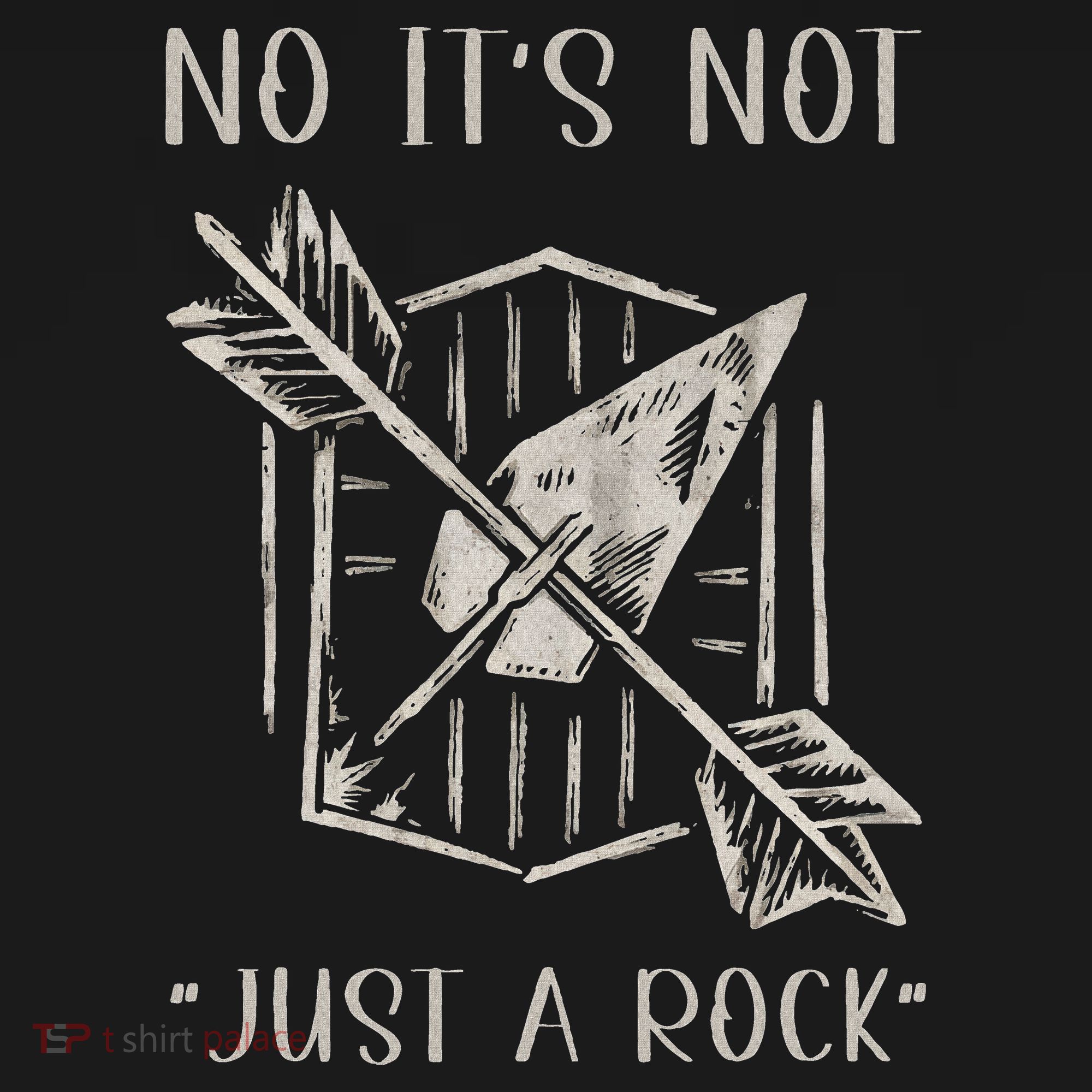 No ItS Not Just A Rock Arrowhead Hunting Coaster