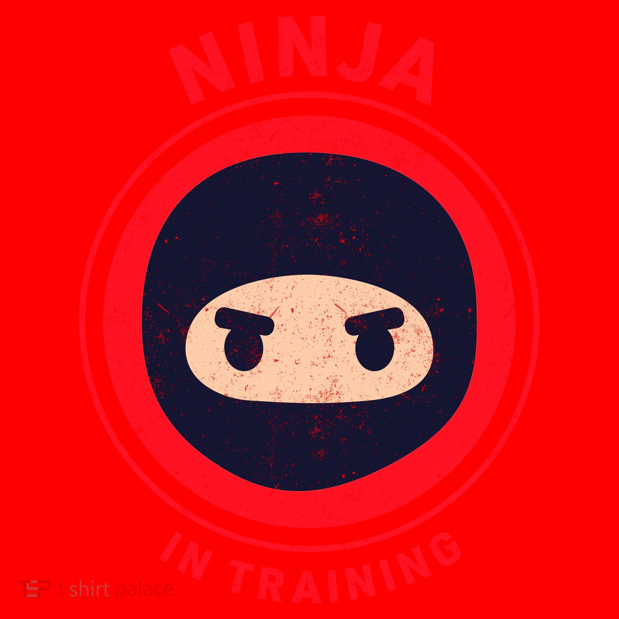 Ninja In Training  Santa Hat