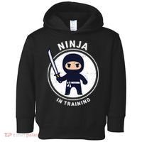 Ninja In Training Sword Toddler Hoodie thumb 0