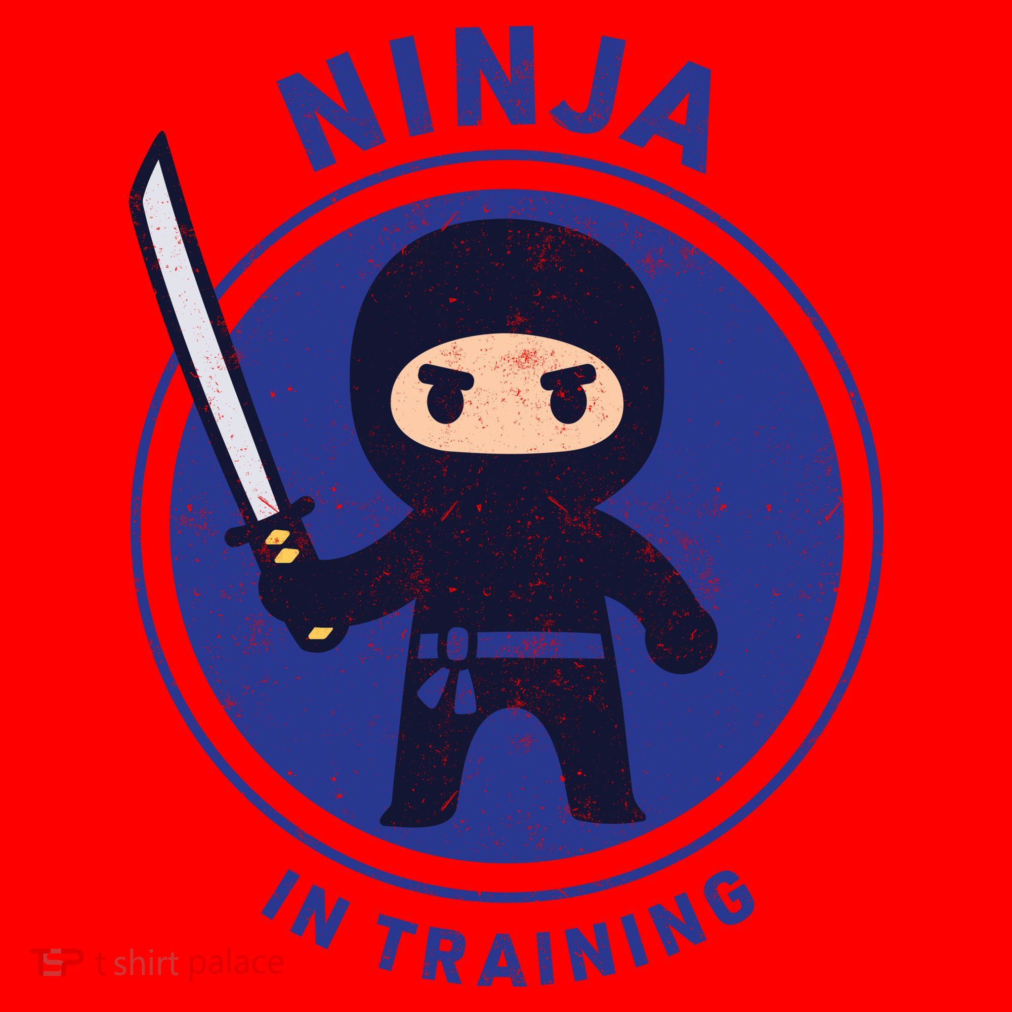 Ninja In Training Sword Santa Hat