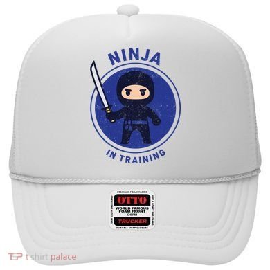 Ninja In Training Sword Hat