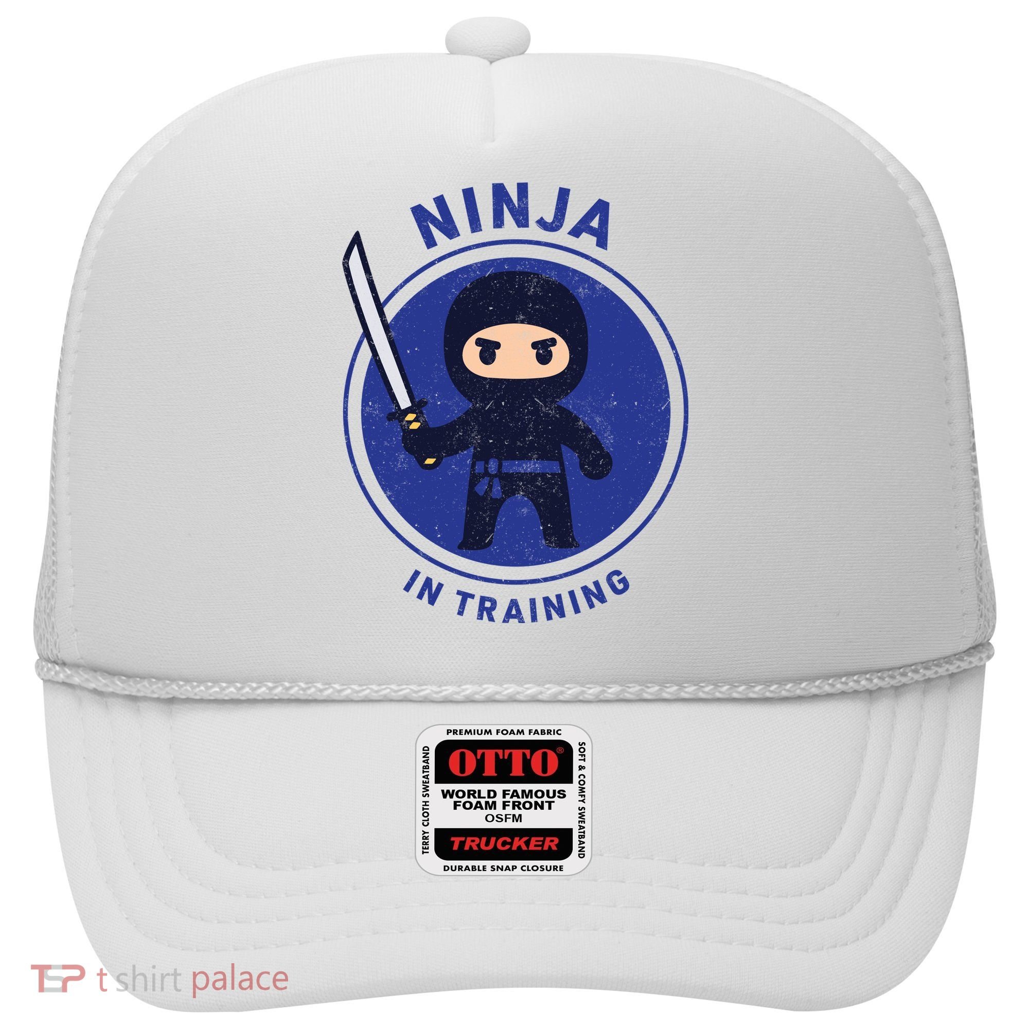 Ninja In Training Sword Hat