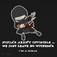 Ninjas Aren't Invisible Leave No Witnesses Ornament thumb 1
