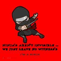 Ninjas Aren't Invisible Leave No Witnesses Santa Hat thumb 1