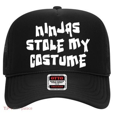 Ninjas Stole My Costume Halloween Hat