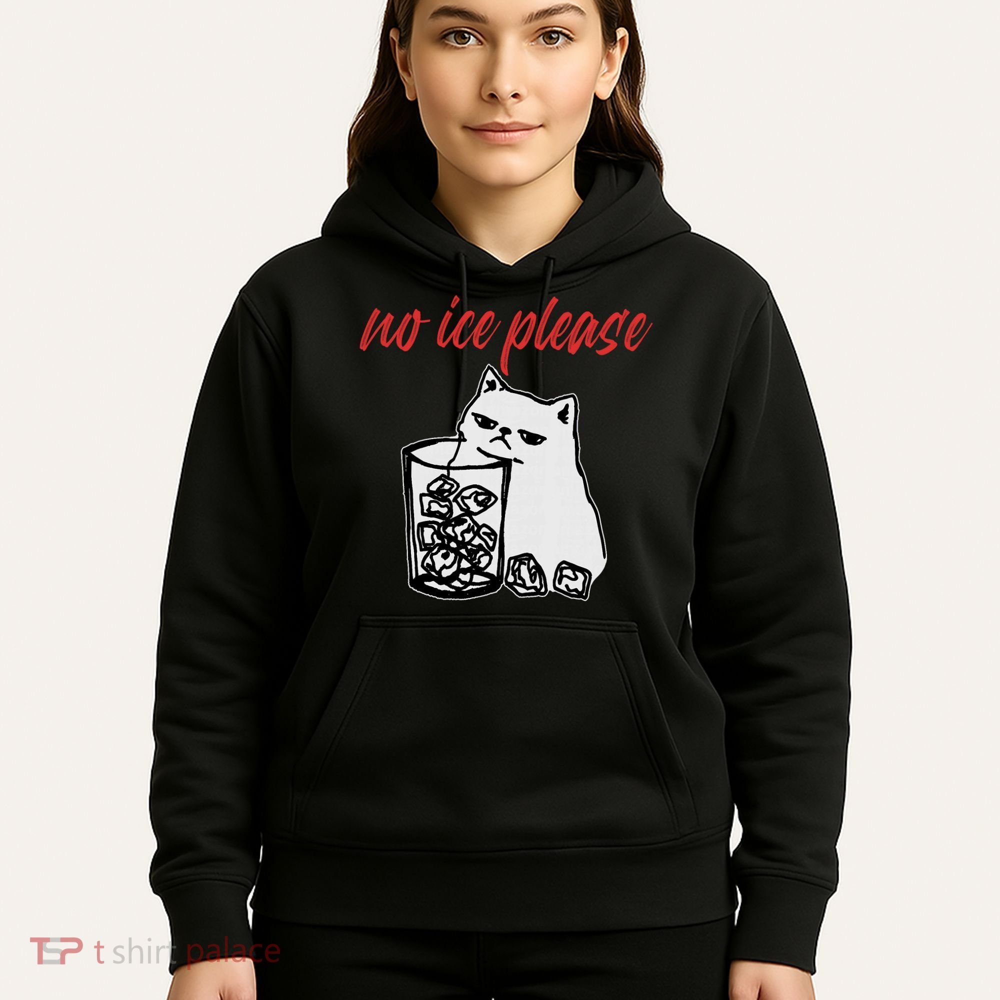 No Ice Please Funny Cat Meme Hoodie