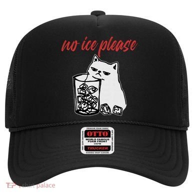 No Ice Please Funny Cat Meme Hat