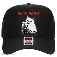 No Ice Please Funny Cat Meme Hat thumb 0