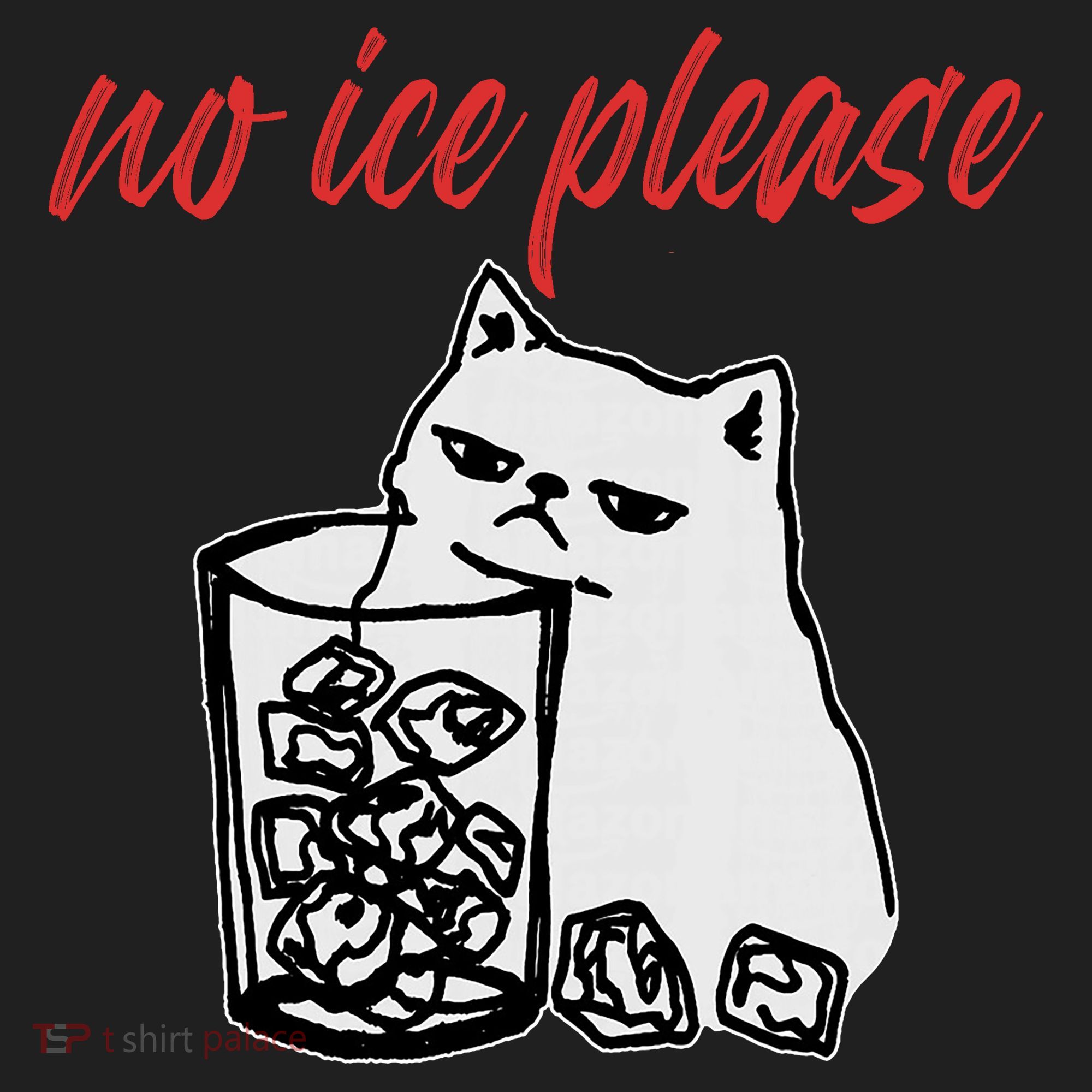 No Ice Please Funny Cat Meme Hat