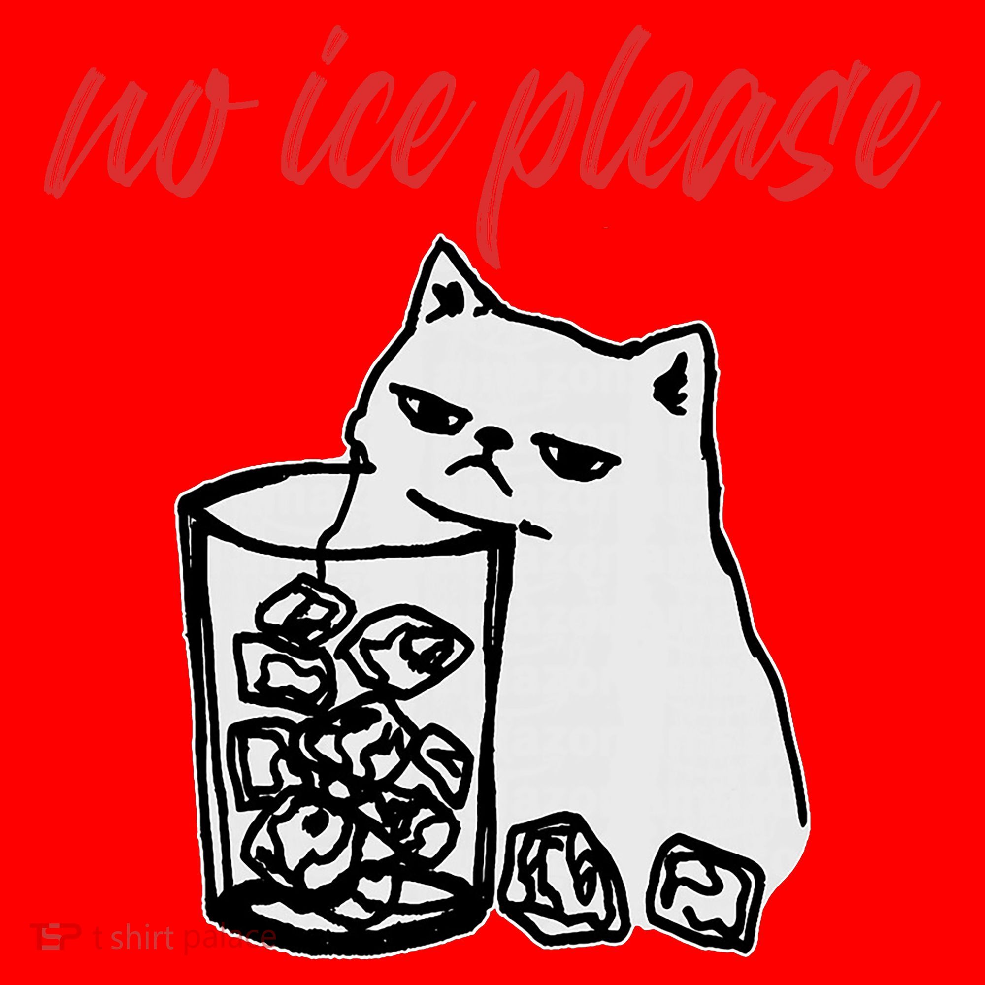 No Ice Please Funny Cat Meme Santa Hat
