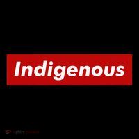 Native Indigenous Red Block Background With White Letters Hoodie thumb 7