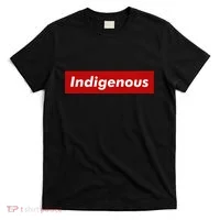 Native Indigenous Red Block Background With White Letters T-Shirt thumb 0