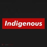 Native Indigenous Red Block Background With White Letters T-Shirt thumb 7