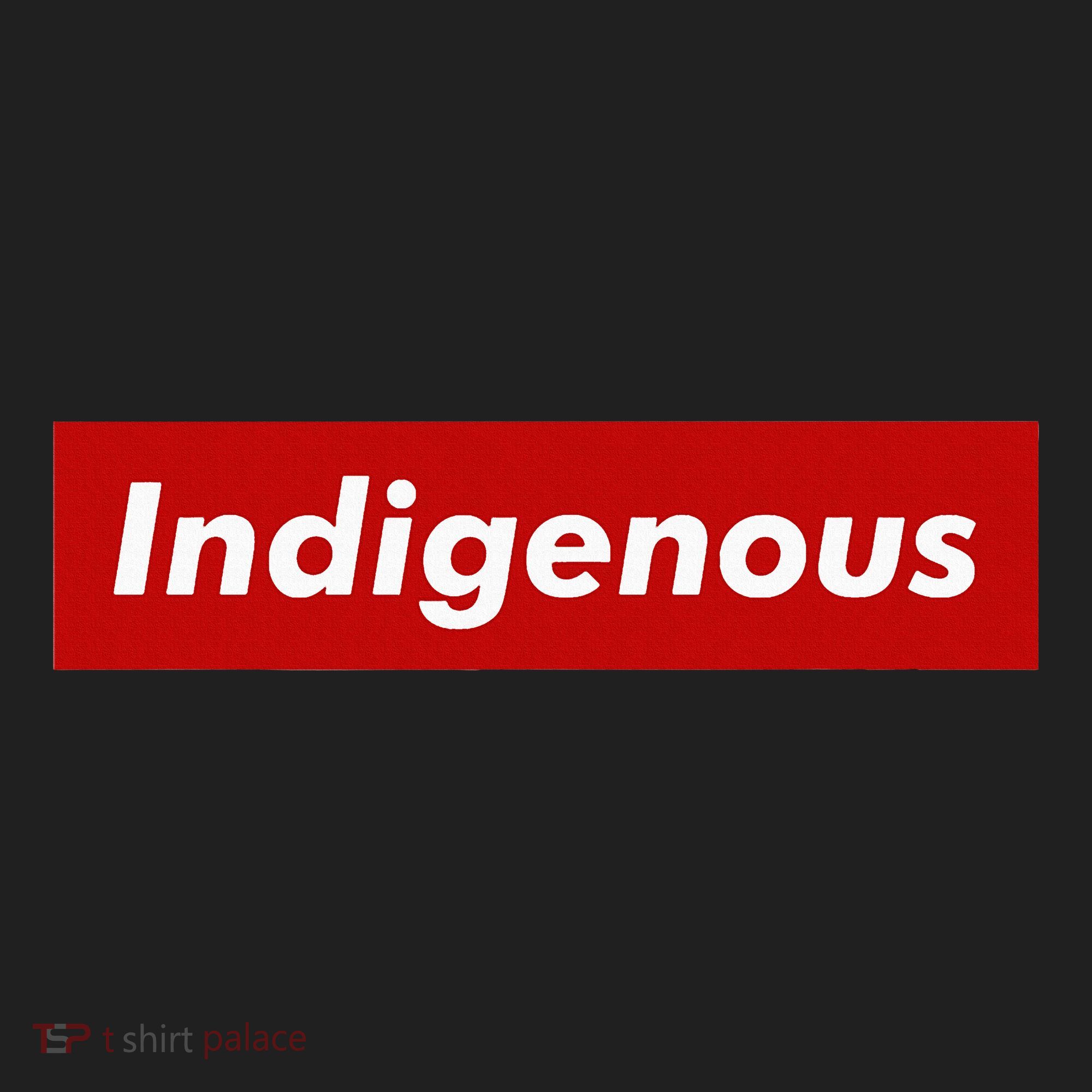 Native Indigenous Red Block Background With White Letters Hat