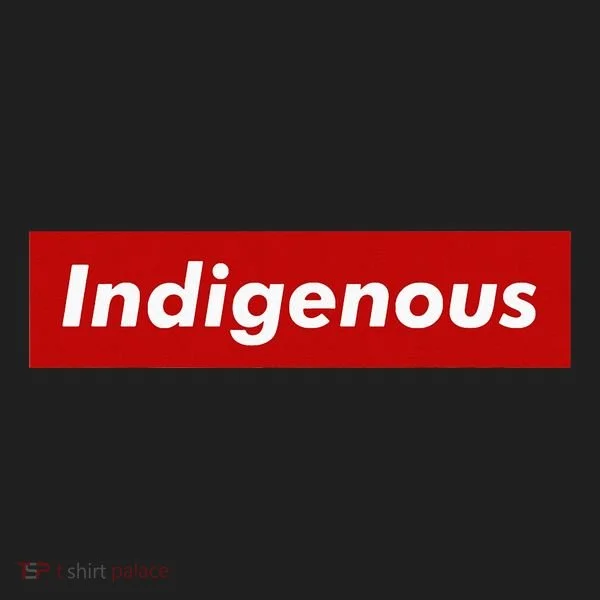 Native Indigenous Red Block Background With White Letters Hat