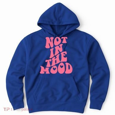 Not In The Mood Aesthetic Words Trendy Funny Gift Hoodie