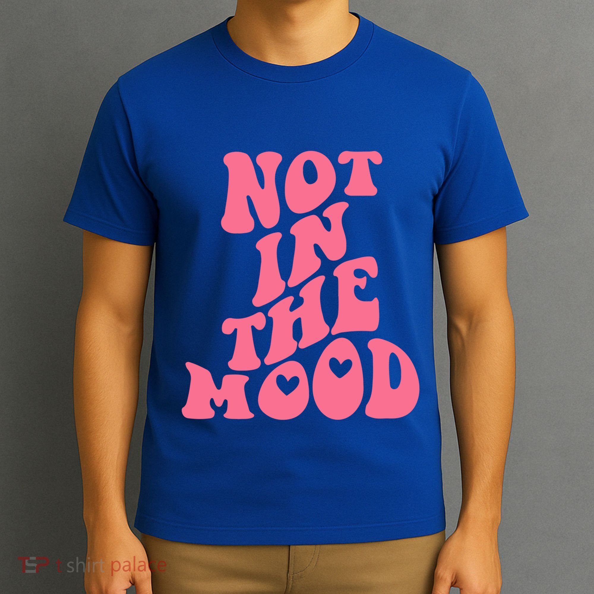 Not In The Mood Aesthetic Words Trendy Funny Gift T-Shirt