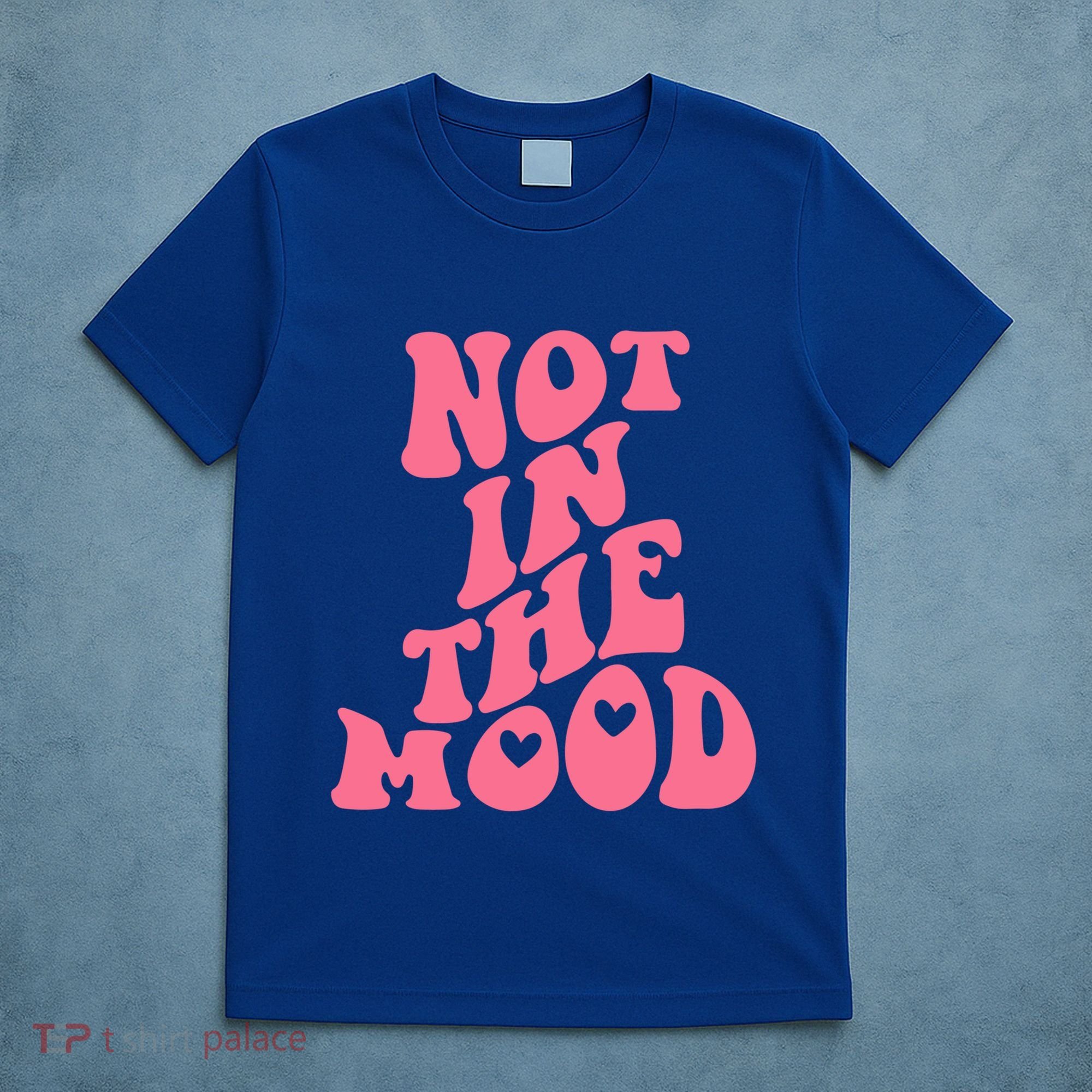 Not In The Mood Aesthetic Words Trendy Funny Gift T-Shirt