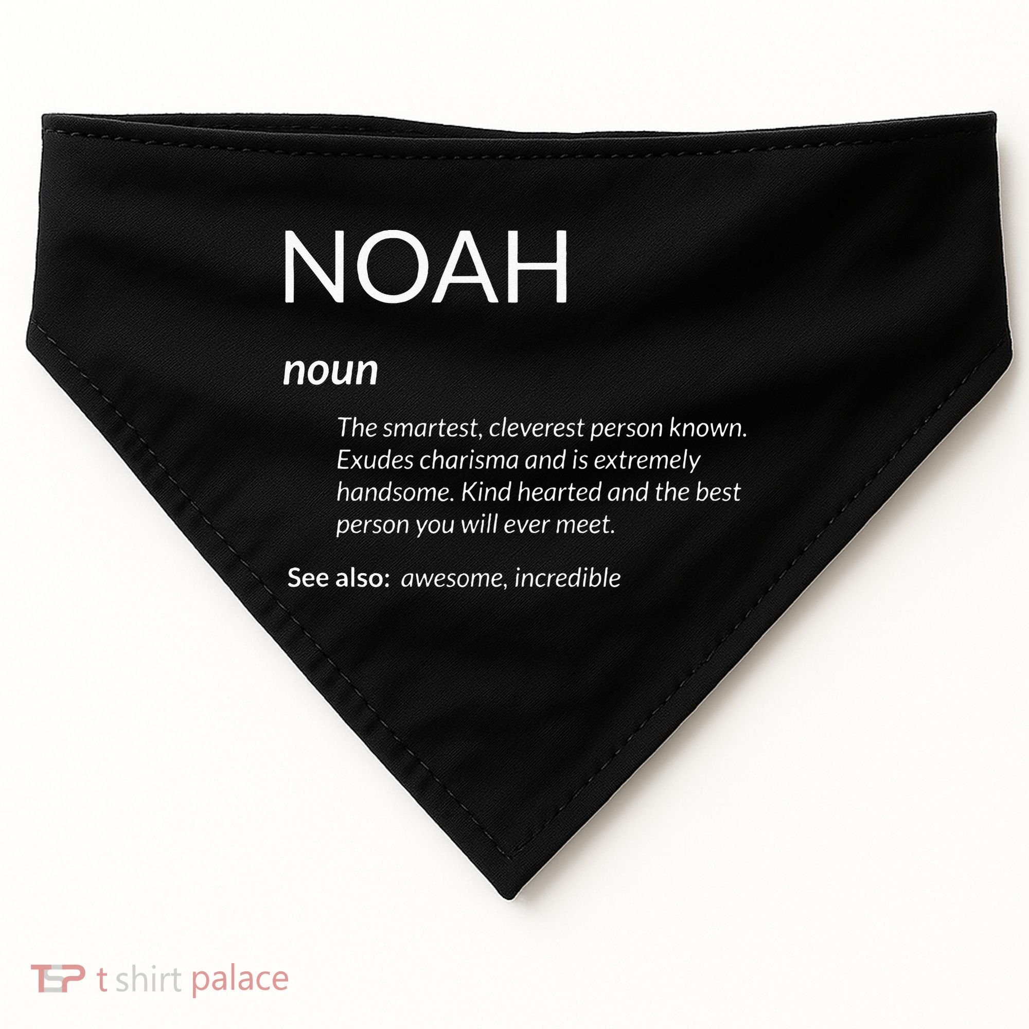 Noah Is The Best Funny Name Definition Noah USA-Made Doggie Bandana