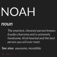 Noah Is The Best Funny Name Definition Noah Beanie thumb 2