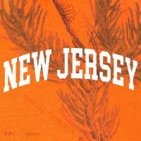 New Jersey Classic Text Kati Licensed 12" Camo Cuffed Beanie thumb 2