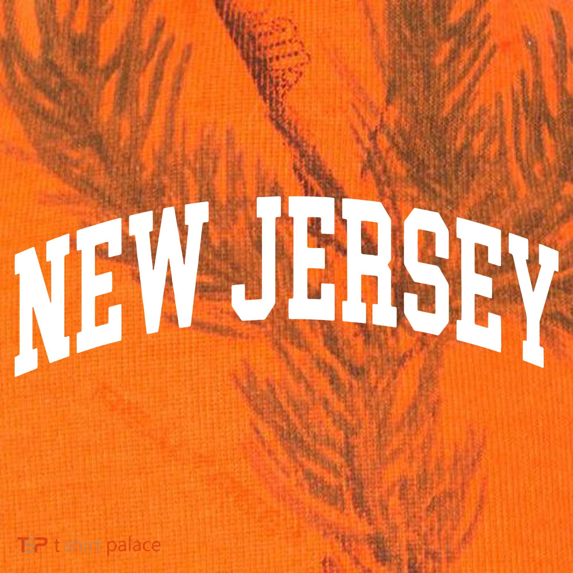 New Jersey Classic Text Kati Licensed 12" Camo Cuffed Beanie