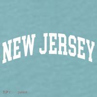 New Jersey Classic Text Sueded Cloud Jersey T-Shirt thumb 2