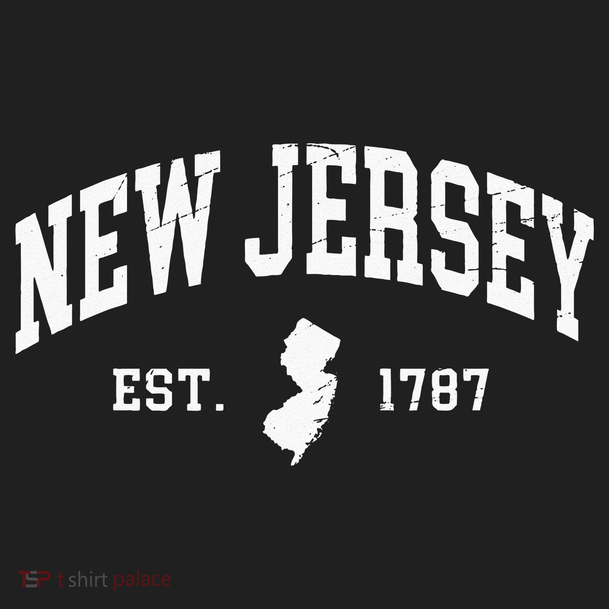 New Jersey Est 1787 Distressed Worn Women's Sweatshirt