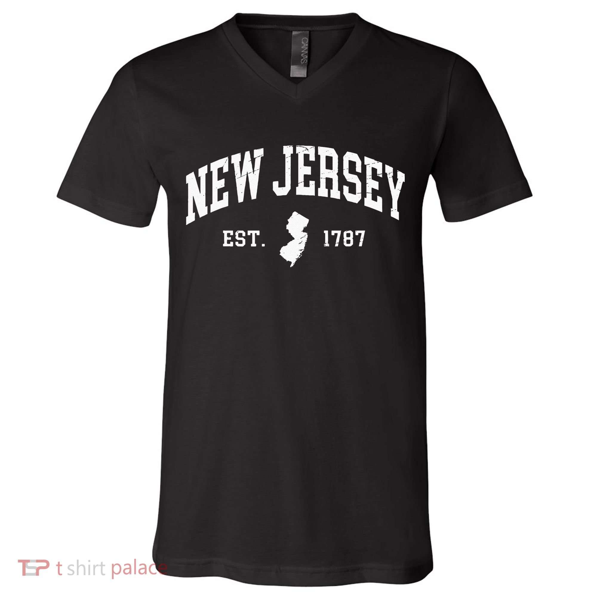 New Jersey Est 1787 Distressed Worn V-Neck T-Shirt