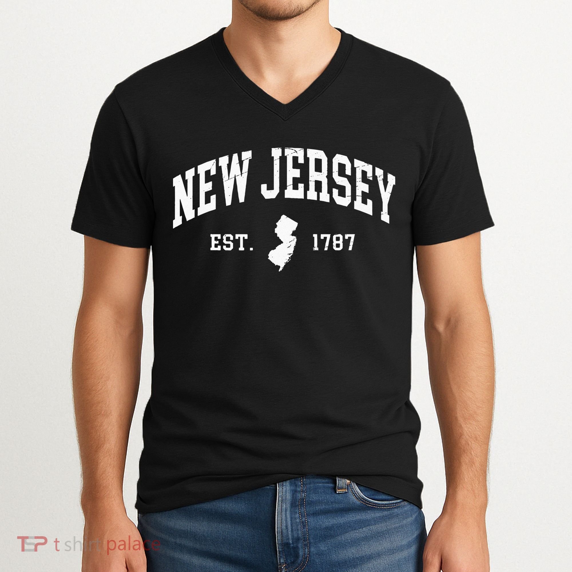 New Jersey Est 1787 Distressed Worn V-Neck T-Shirt