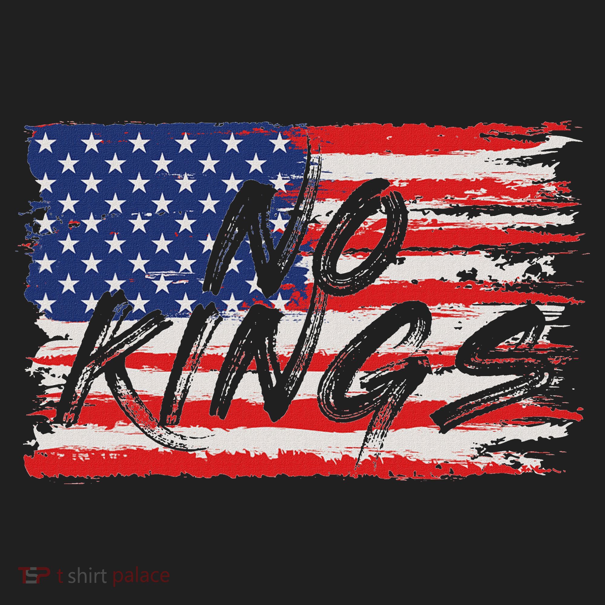 No Kings Flag Proud To Have No Kings Beanie