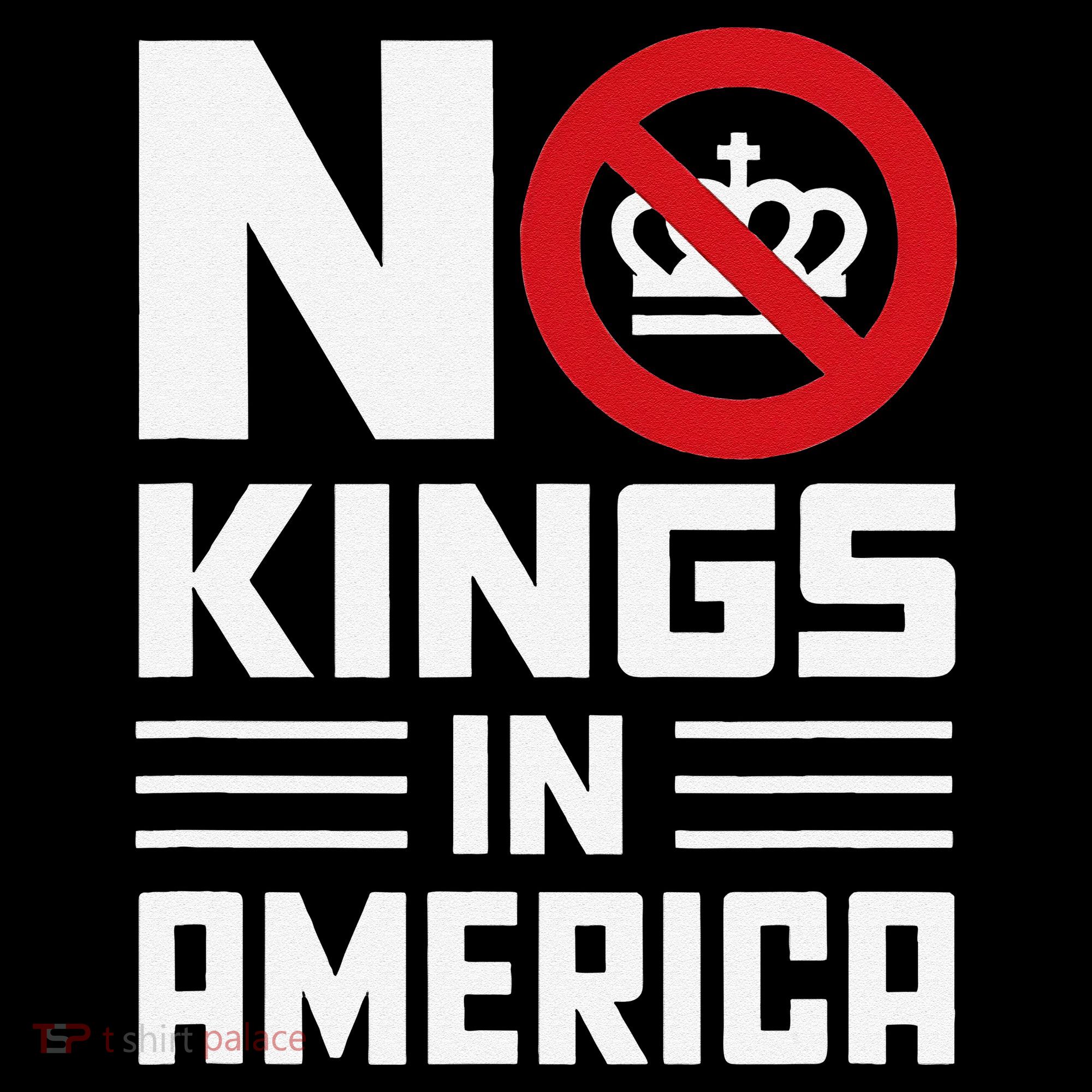 No Kings In America Democracy Usa Protest Coffee Mug