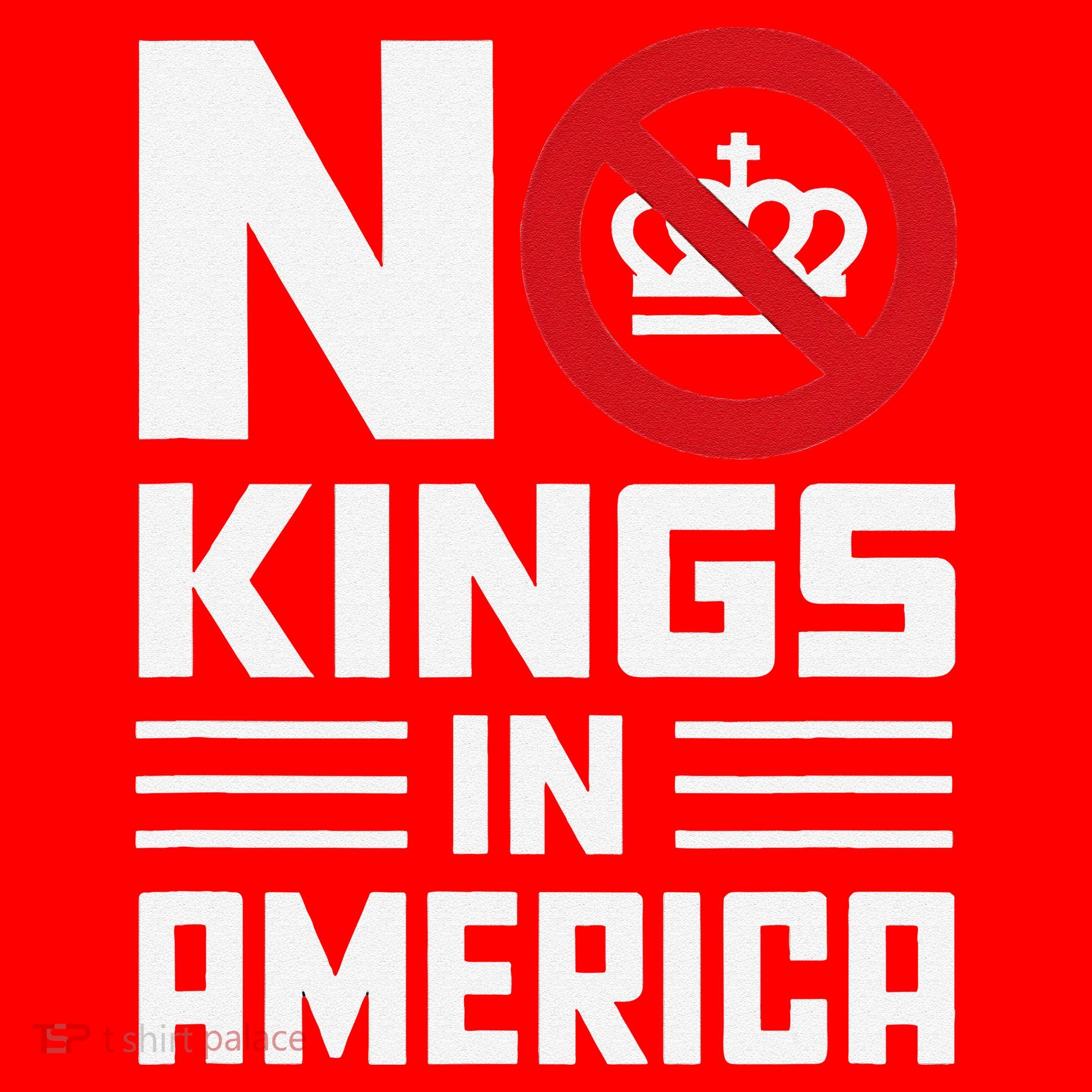 No Kings In America Democracy Usa Protest Santa Hat