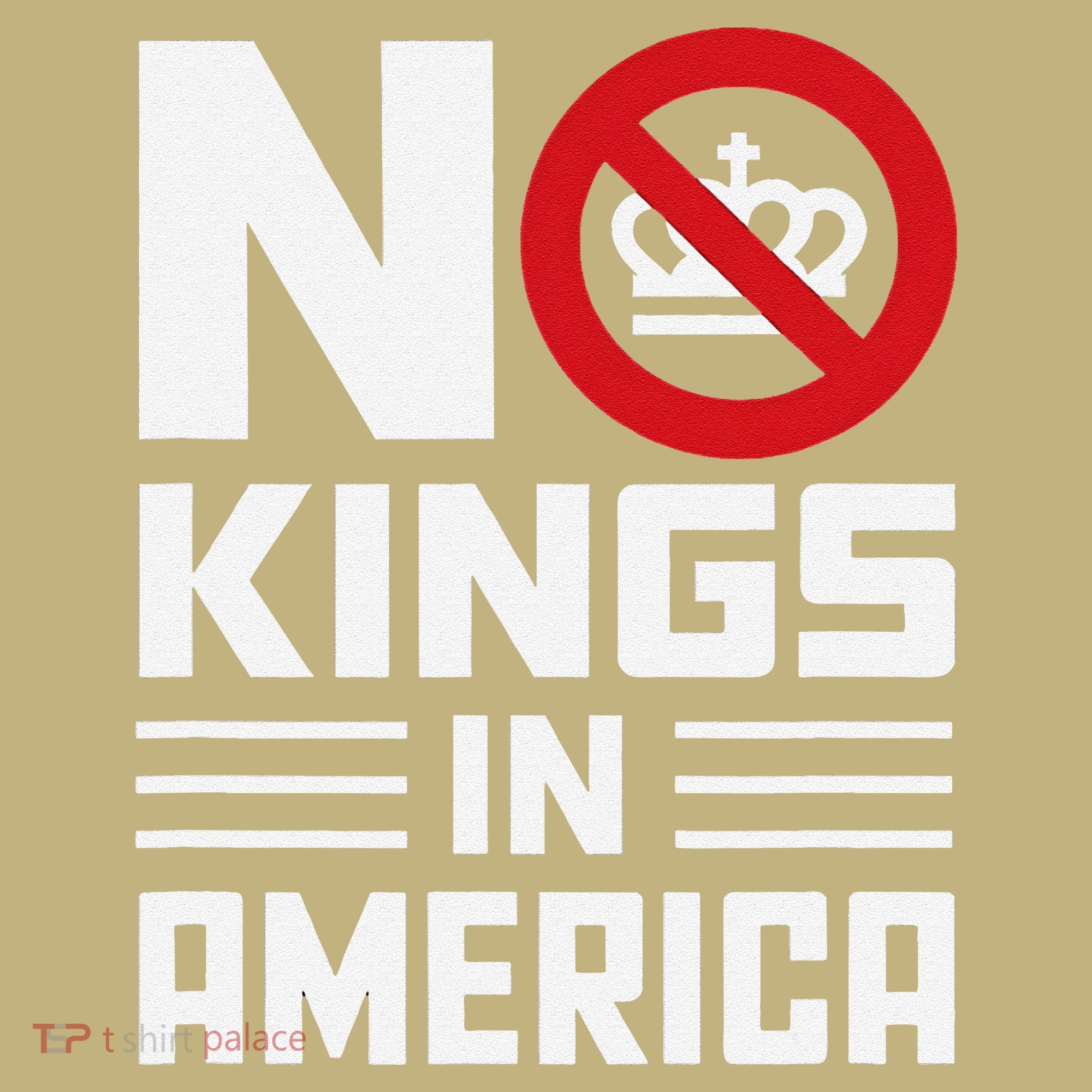 No Kings In America Democracy Usa Protest Hoodie