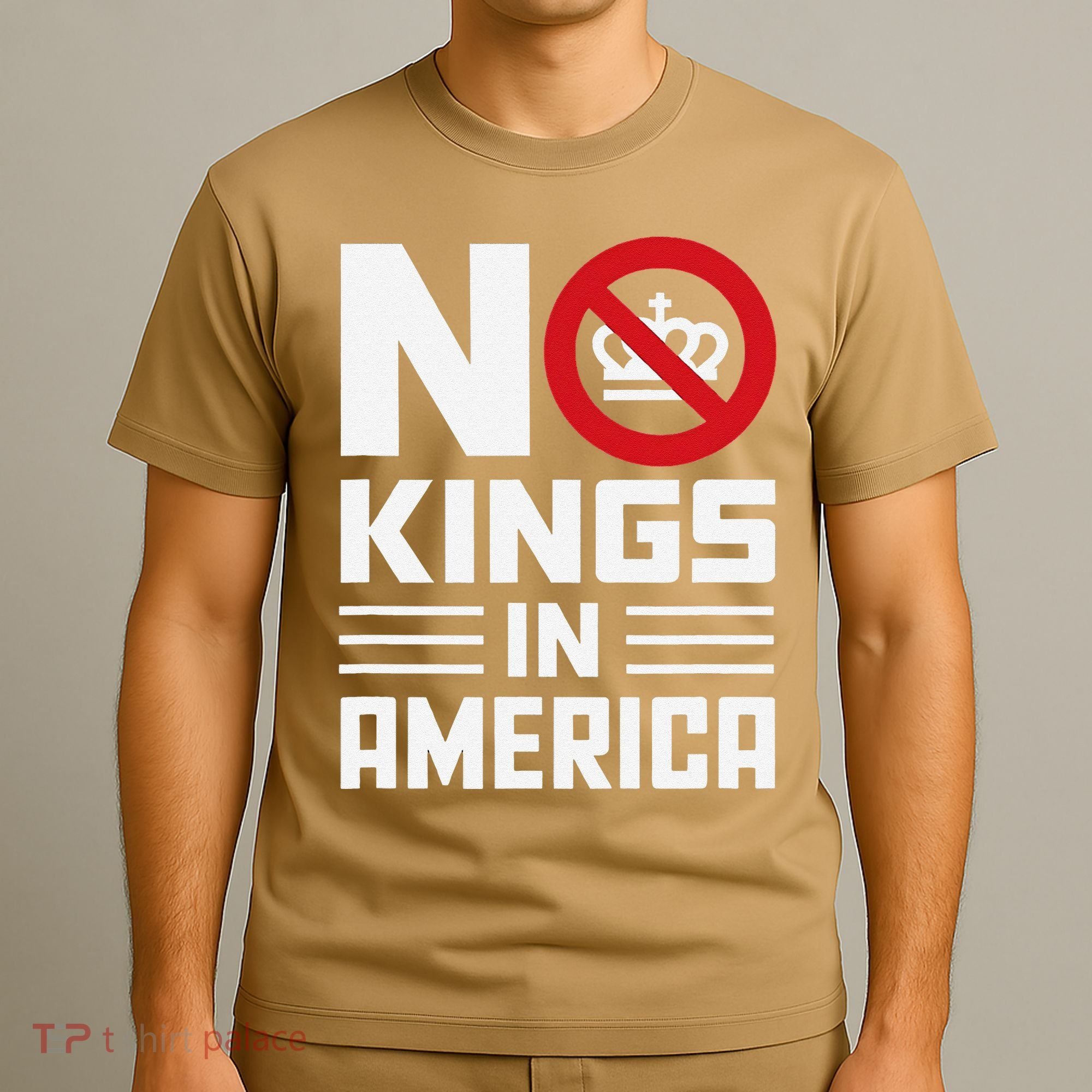 No Kings In America Democracy Usa Protest T-Shirt