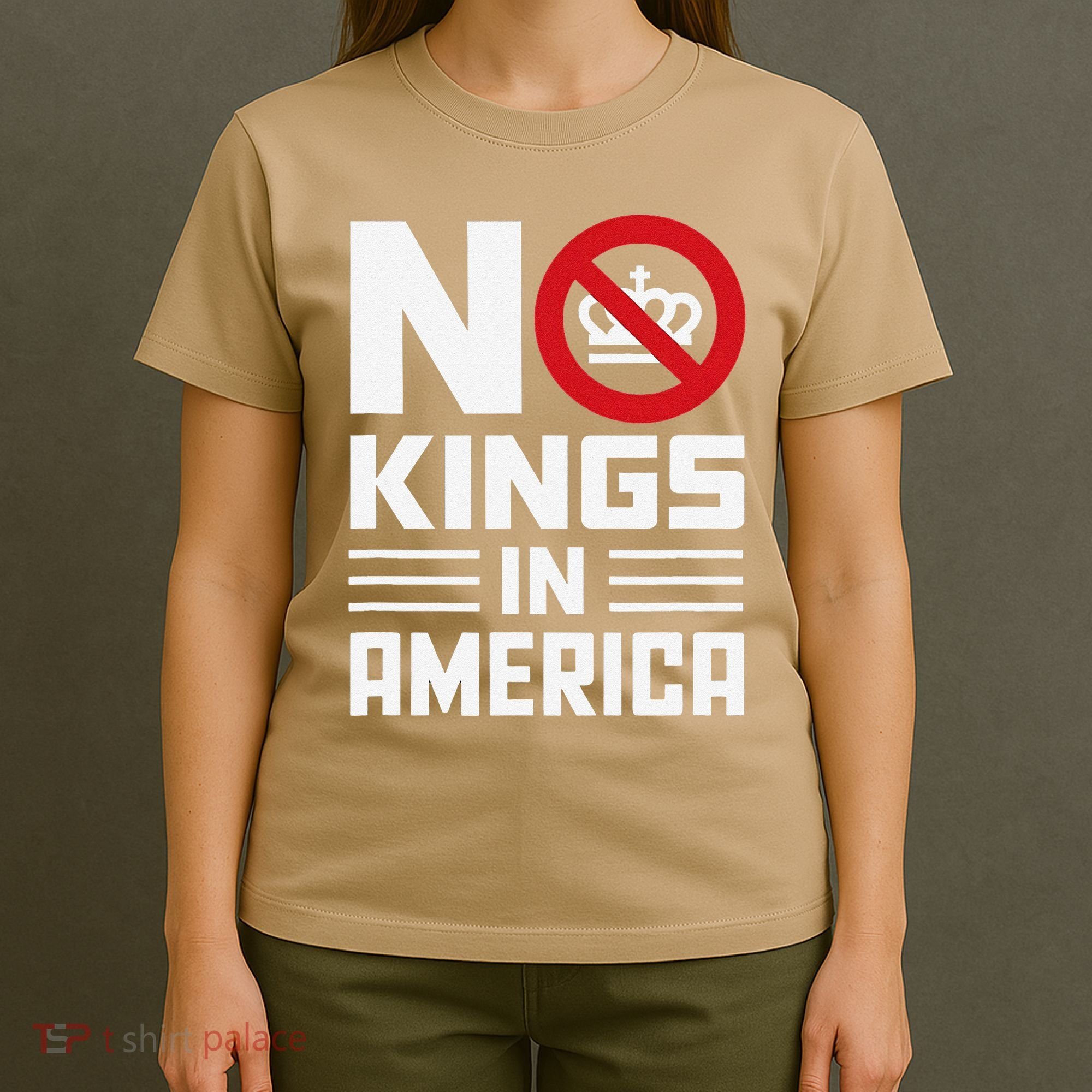 No Kings In America Democracy Usa Protest T-Shirt
