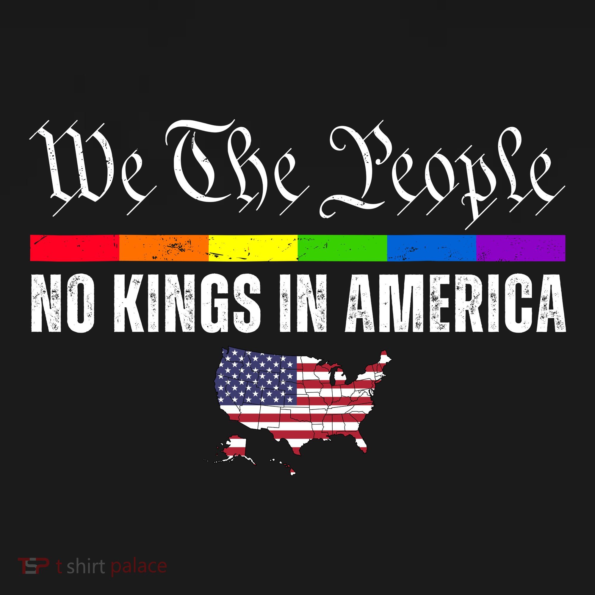 No Kings In America We The People Political T-Shirt