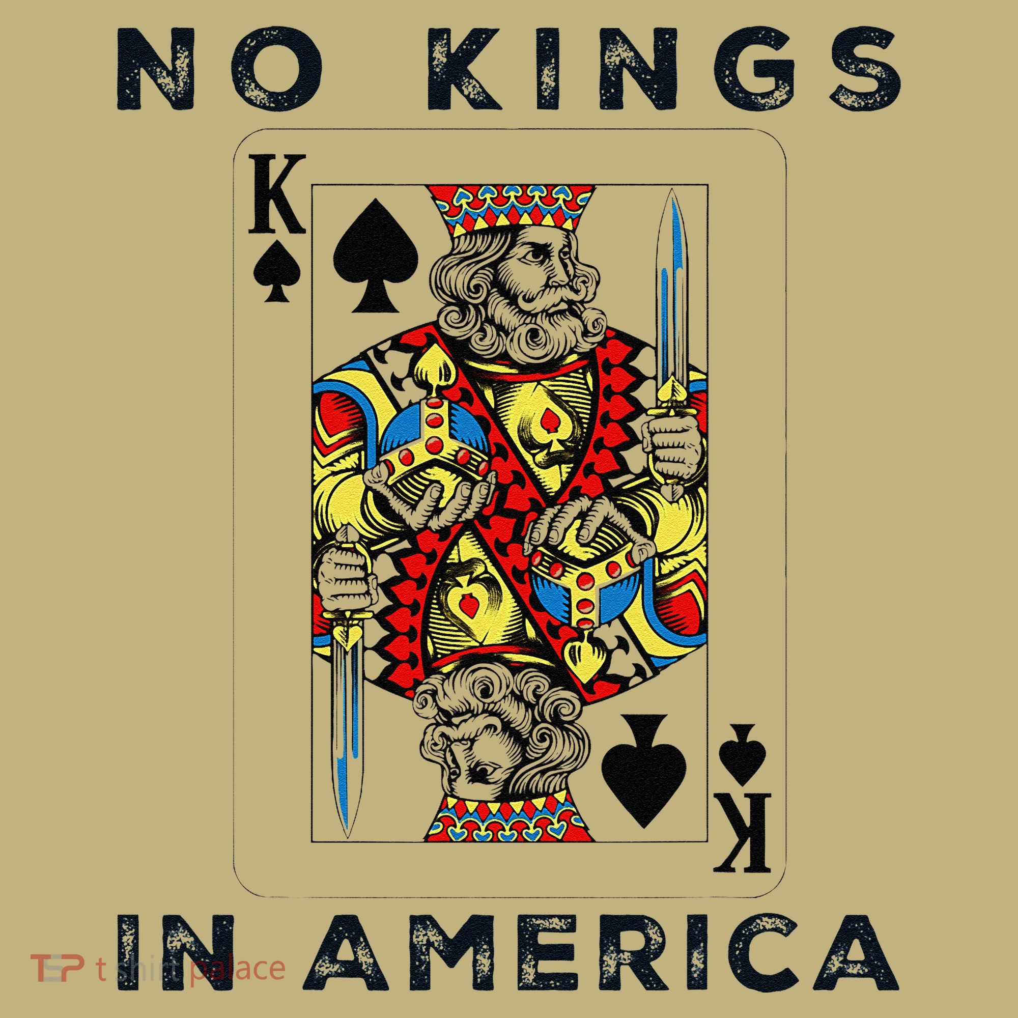 No Kings In America We The People Political T-Shirt