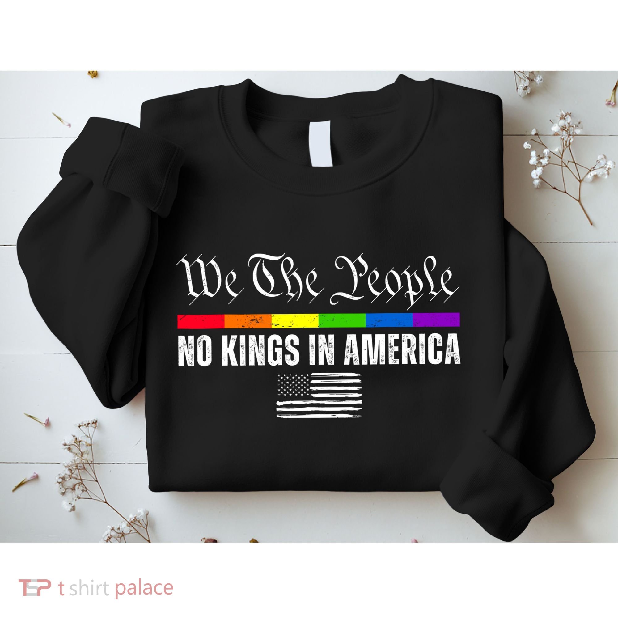 No Kings In America We The People Political Sweatshirt